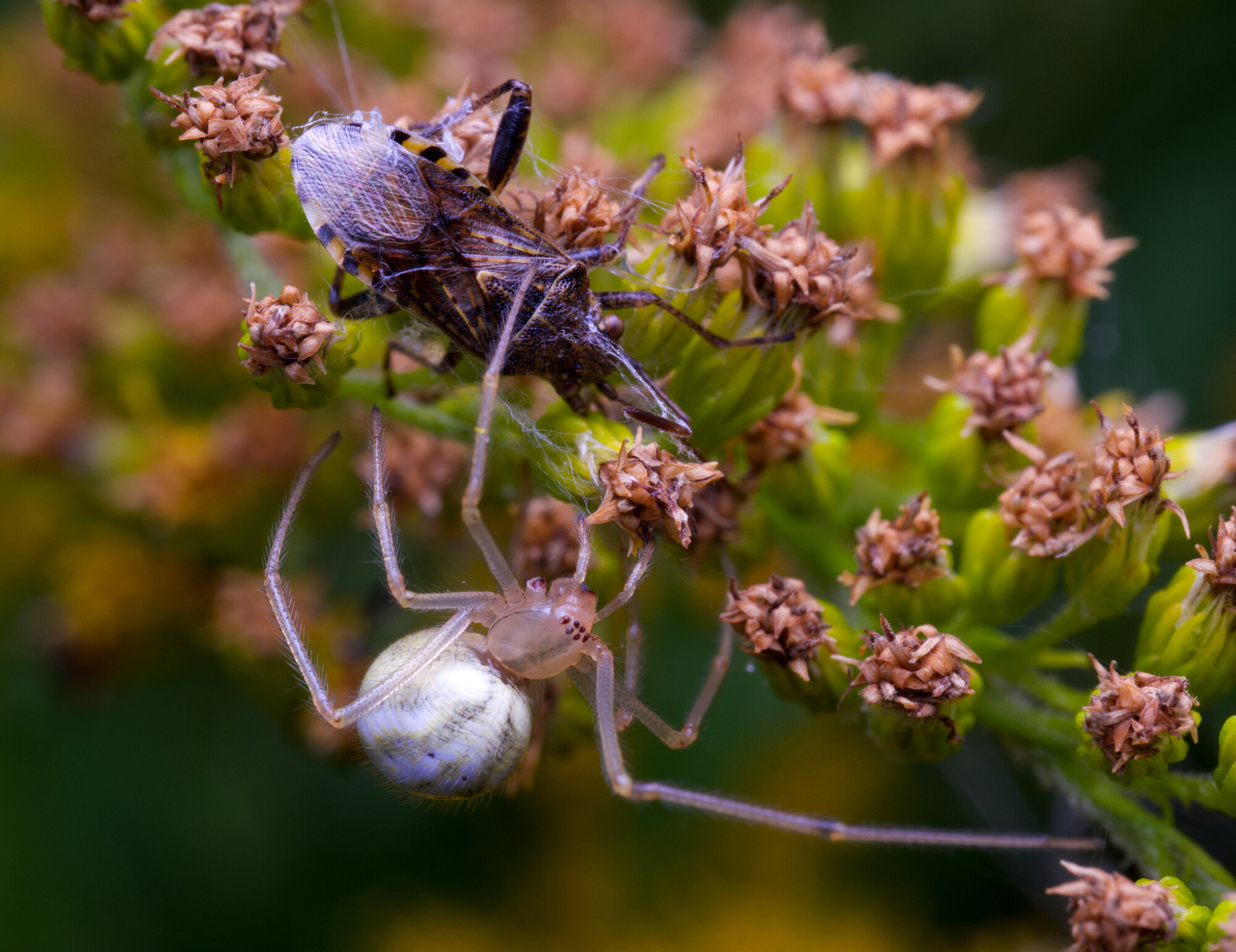 DSCF2173.jpg