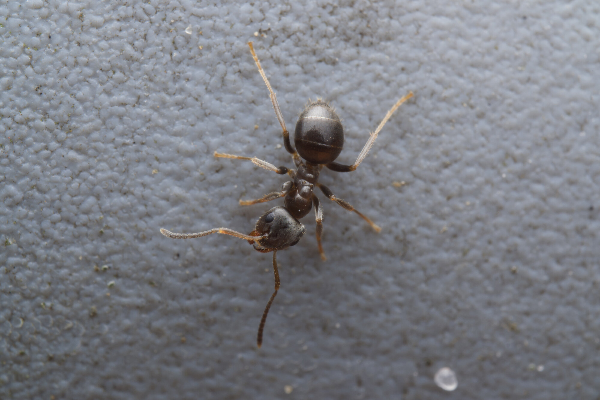 DSCF2290.jpg