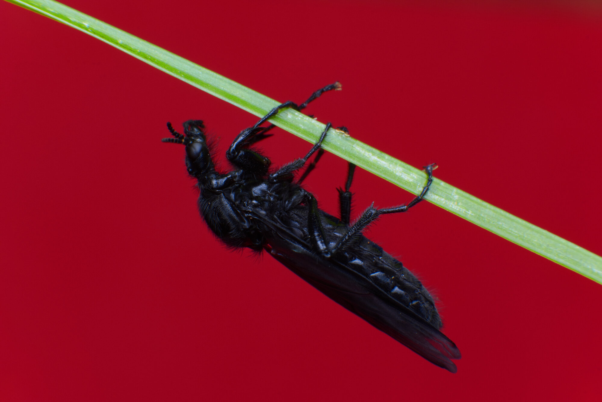 DSCF3085.jpg