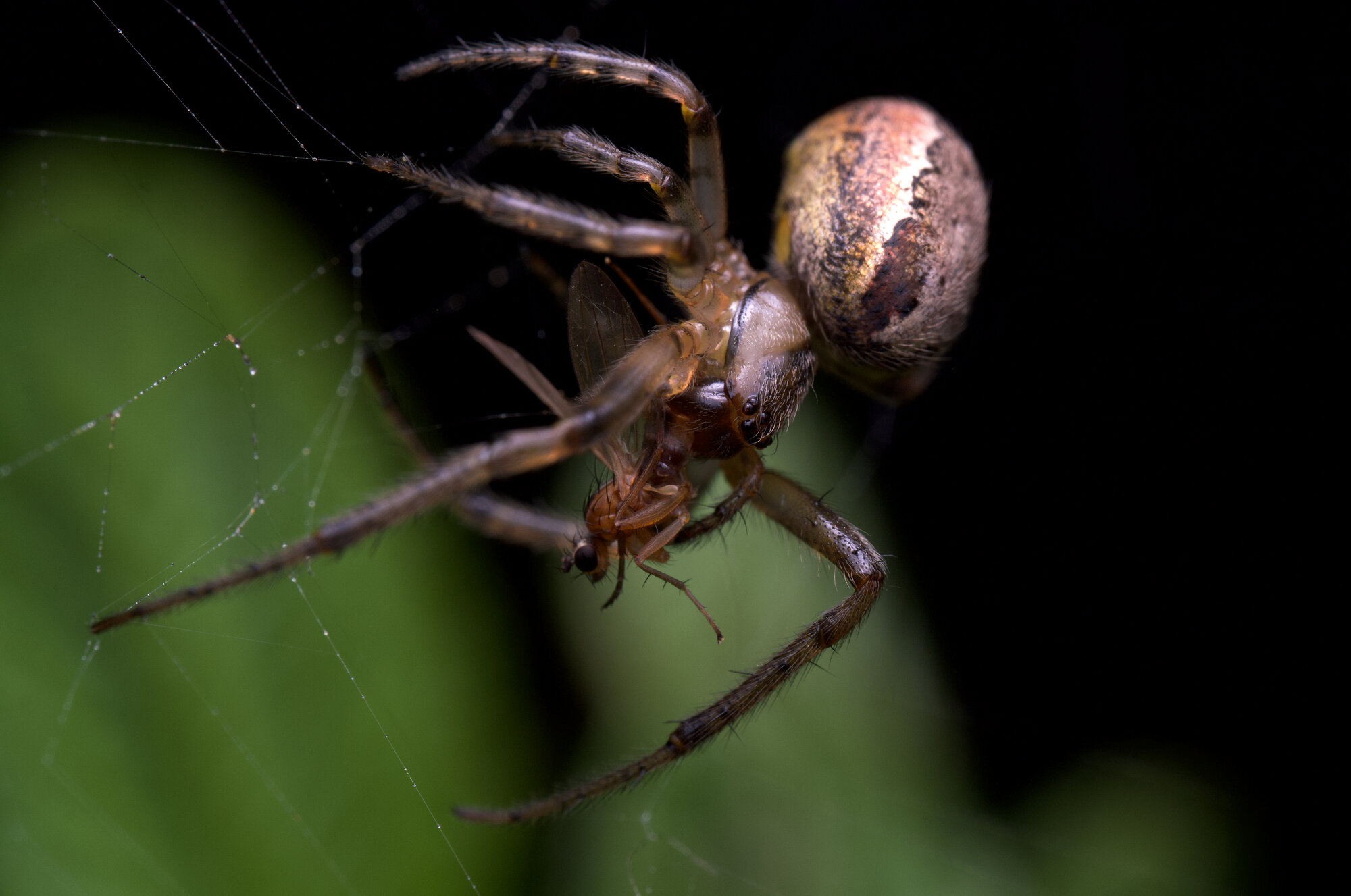 DSCF3910.jpg