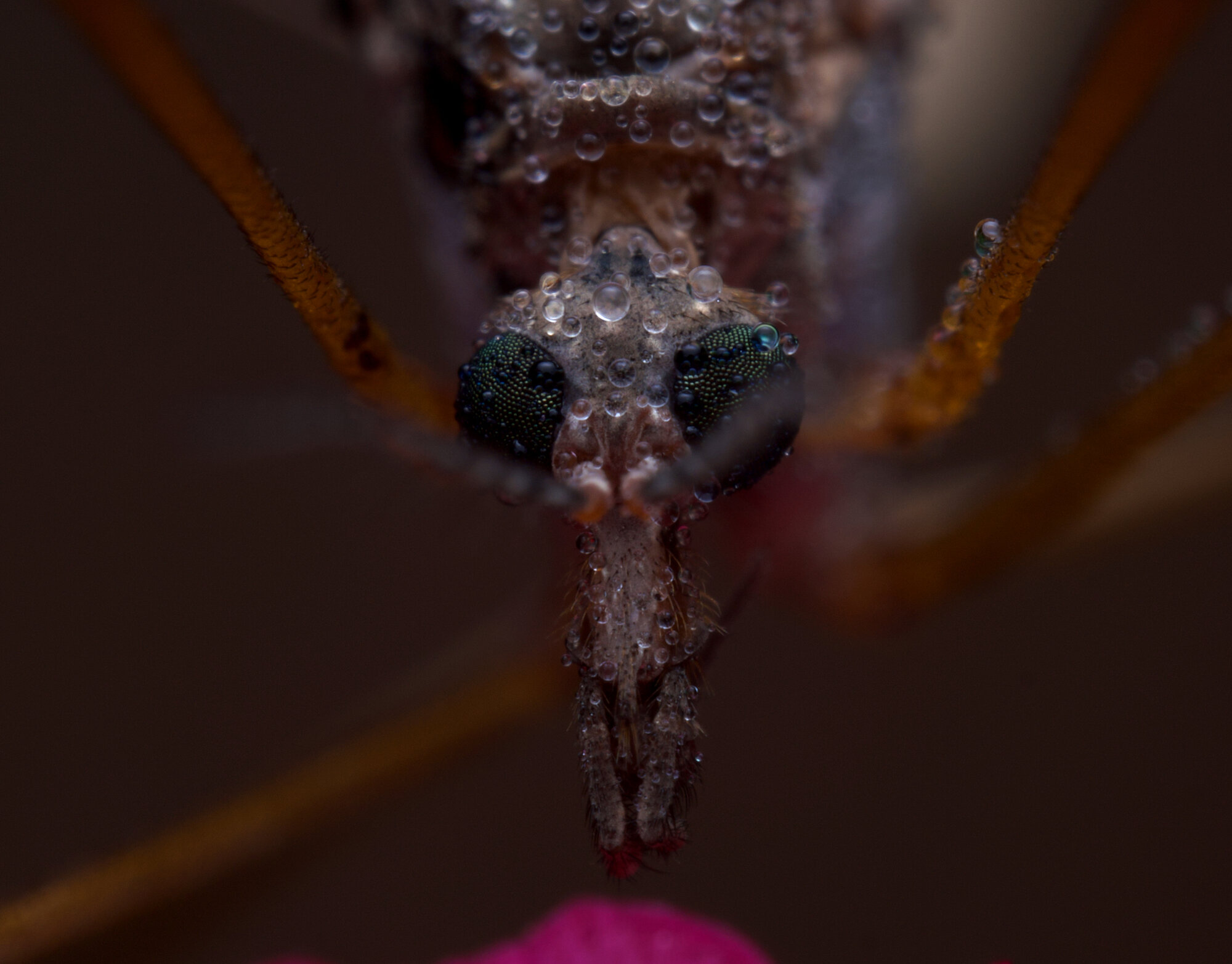 DSCF4391.jpg