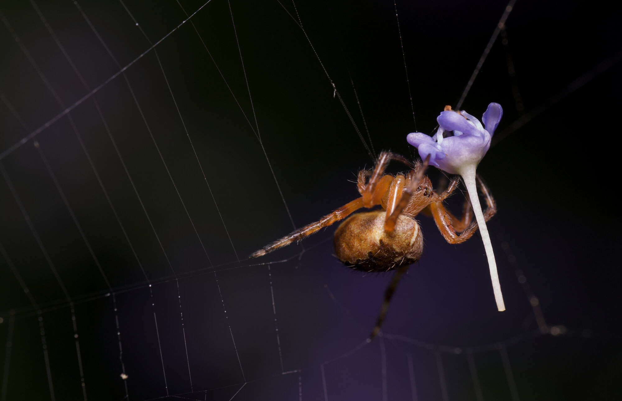 DSCF6693.jpg