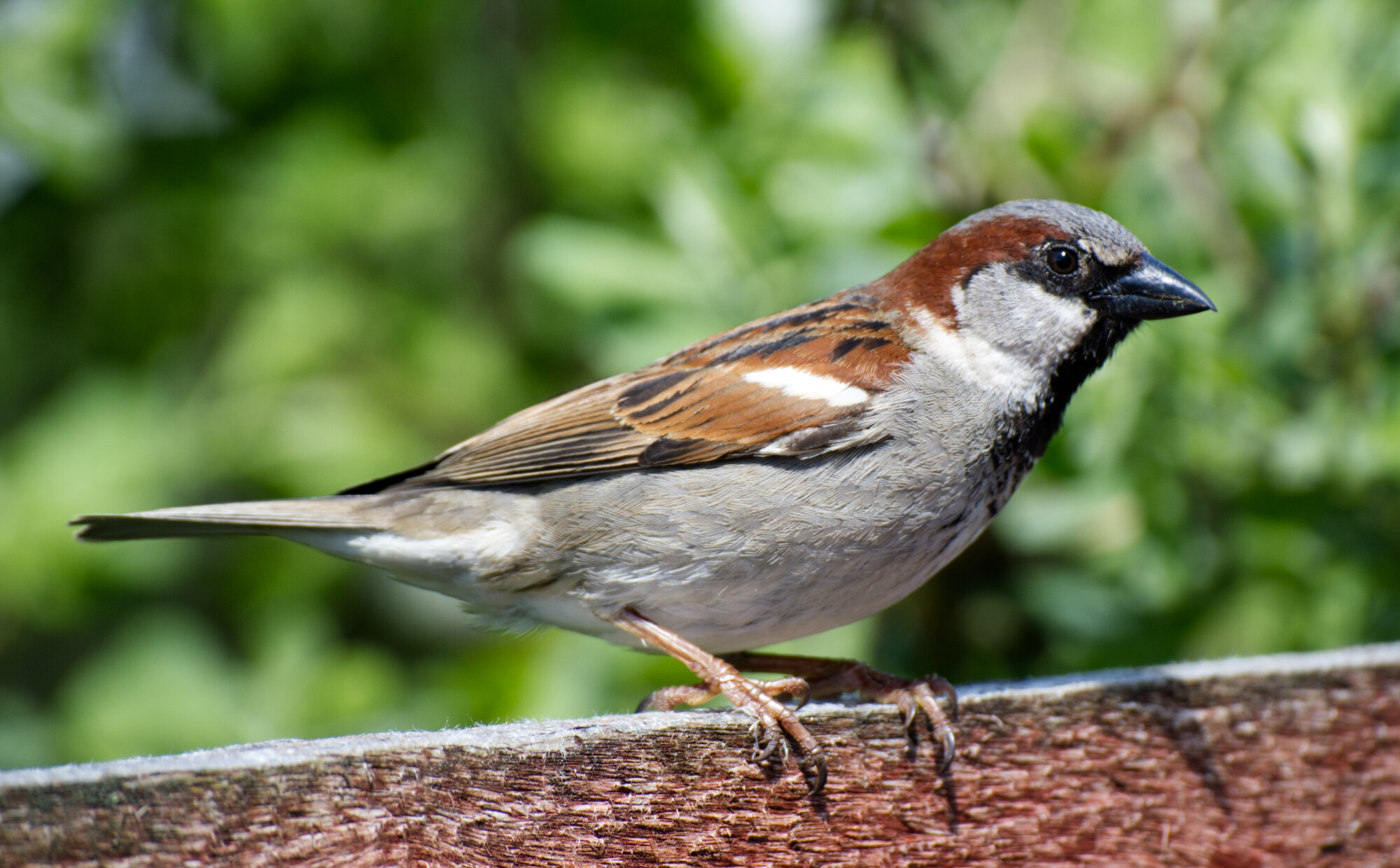 DSCF8147.jpg