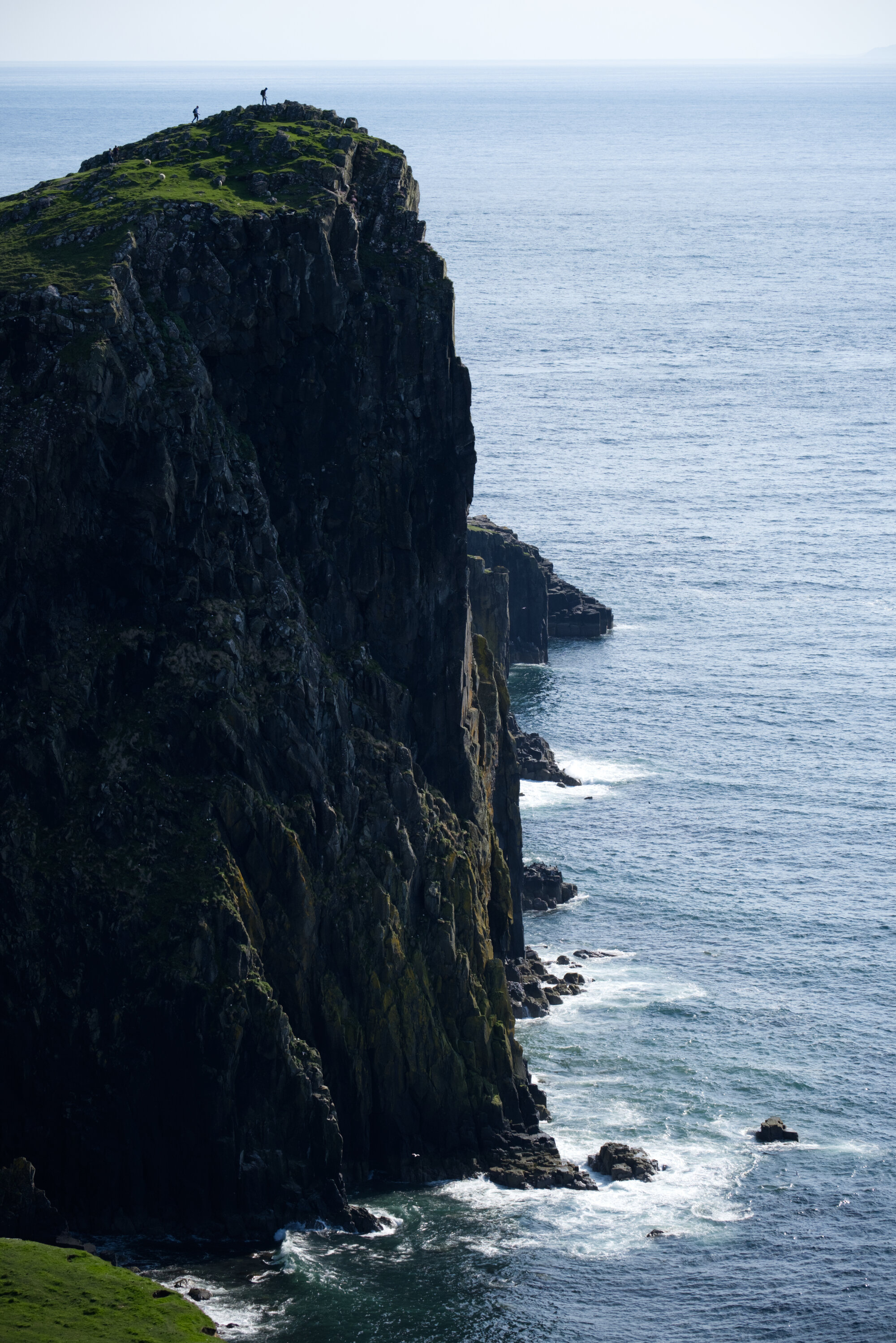 DSCF8411.jpg